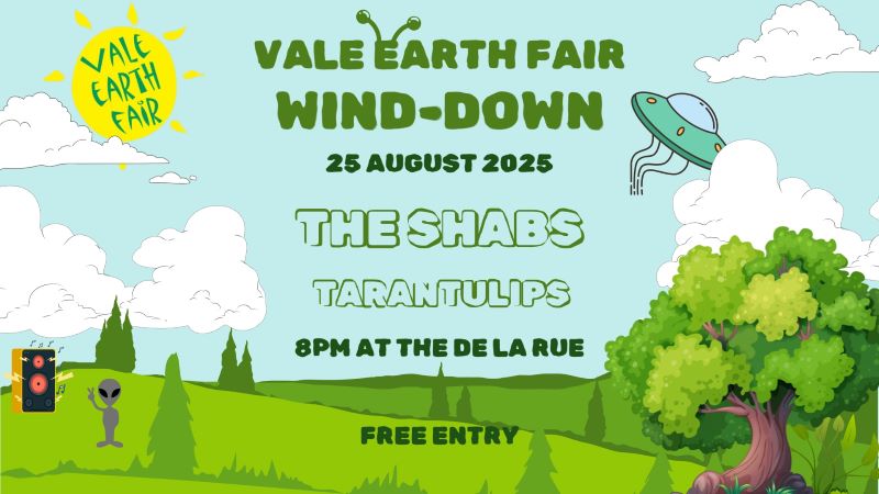 VEF wind-down 2025